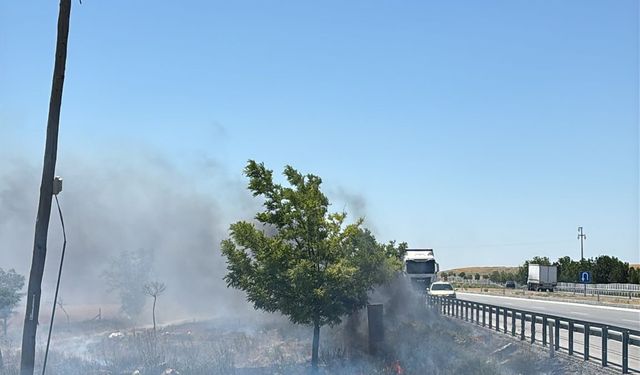 Tavuk dolu tırda yangın paniği