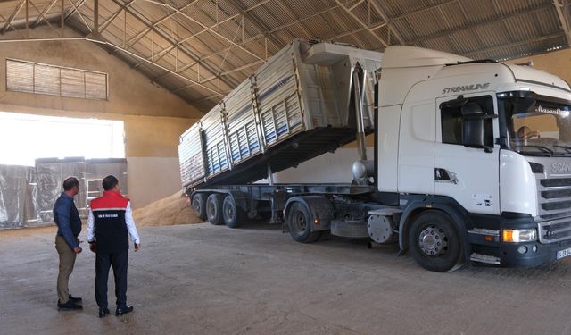 Hububatta ilk hasat başladı