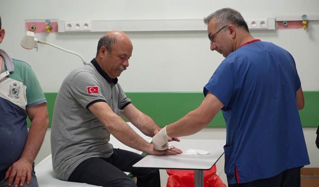 Acemi kasaplar hastaneye koştu
