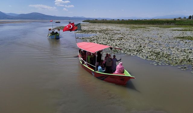 Beyşehir nilüferleri iki ülkeyi buluşturdu