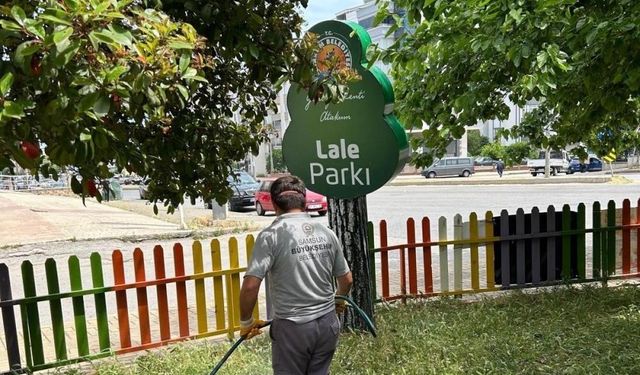 Kenelere karşı ilaçlama seferberliği