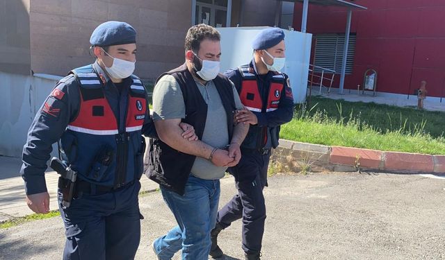 Silah kaçakçılığı operasyonunda 1 zanlı tutuklandı