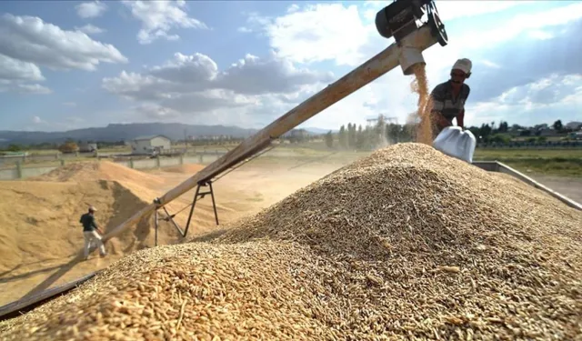 Çiftçilerin dört gözle beklediği hububat fiyatları açıklandı