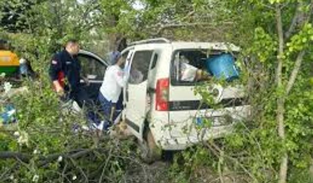 Ağaca çarpan otomobildeki 3 kişi yaralandı