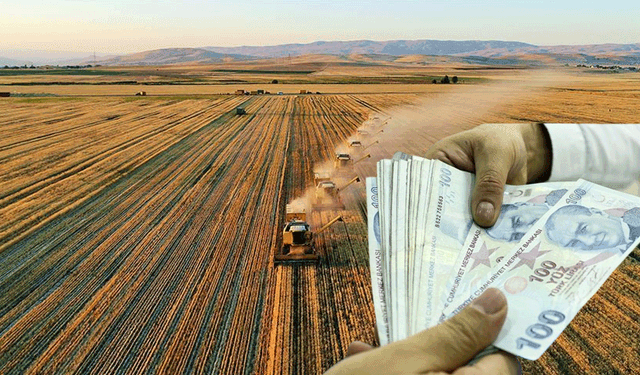 TMO'dan üreticiye 1 milyar liralık destek
