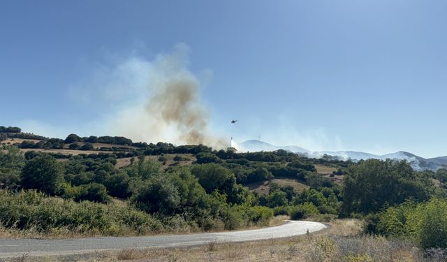 Tarım alanında çıkan yangına müdahale ediliyor