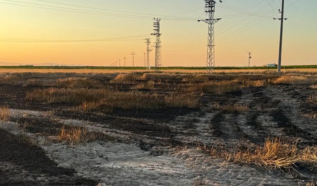 Konya'da buğday tarlası küle döndü