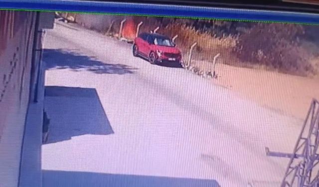 Orman yangınının çıkış anı görüntüsü ortaya çıktı