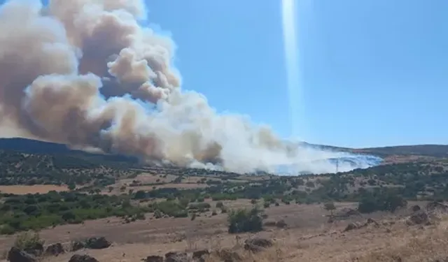 Çöplükte başlayan yangın ormana sıçradı