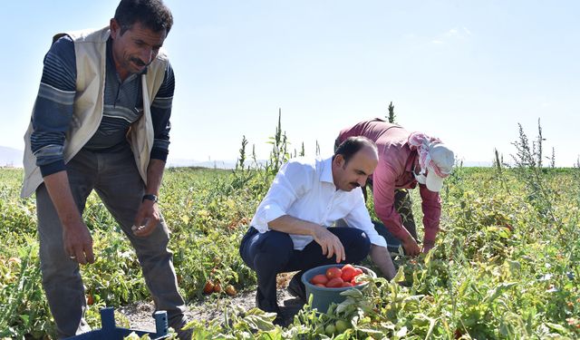 Konya'da çiftçiye destek! 31 ilçede başvurular başladı