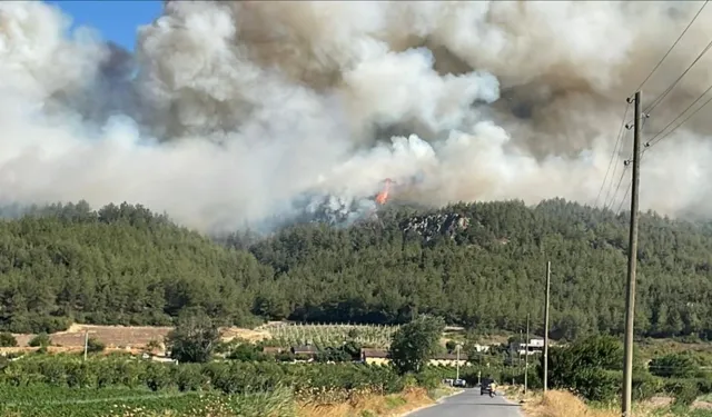 Bu yaz bu şehirde ormanlara girmek yasak!