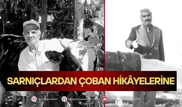 Akören’de tarihi hayvancılık ve çobanlar: Sarnıçlardan çoban hikâyelerine