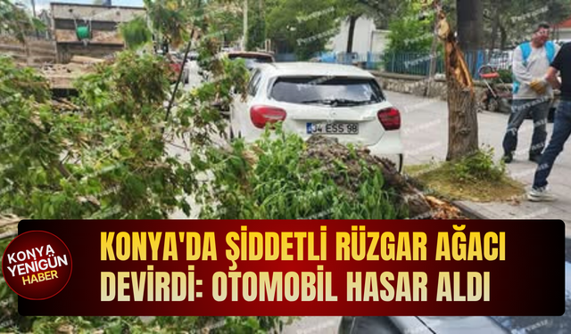 Konya'da şiddetli rüzgar ağacı devirdi: Otomobil hasar aldı
