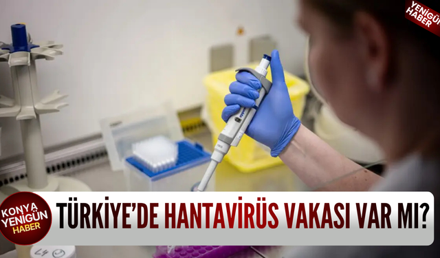 Türkiye'de hantavirüs vakası var mı?