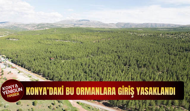 Konya'daki ormanlara giriş yasaklandı