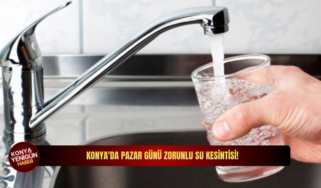 Kurban Bayramı'nda Konya Tropikal Kelebek Bahçesi açık mı?