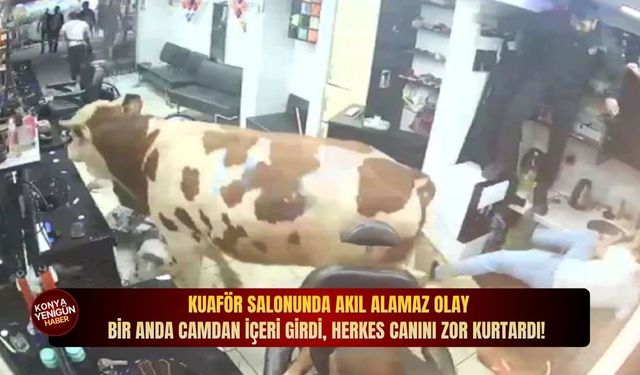 Kuaför salonunda akıl alamaz olay: Bir anda camdan i̇çeri girdi, herkes canını zor kurtardı!