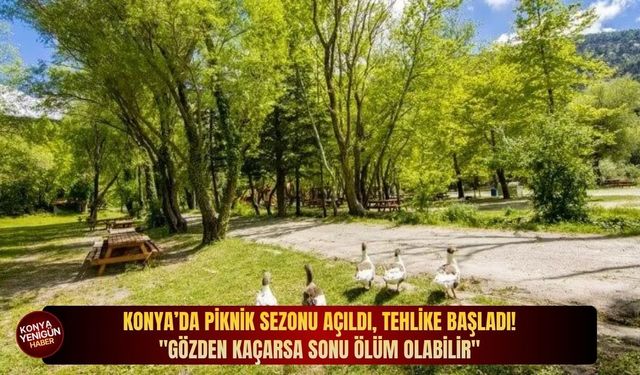 Konya’da piknik sezonu açıldı, tehlike başladı: "Gözden kaçarsa sonu ölüm olabilir"