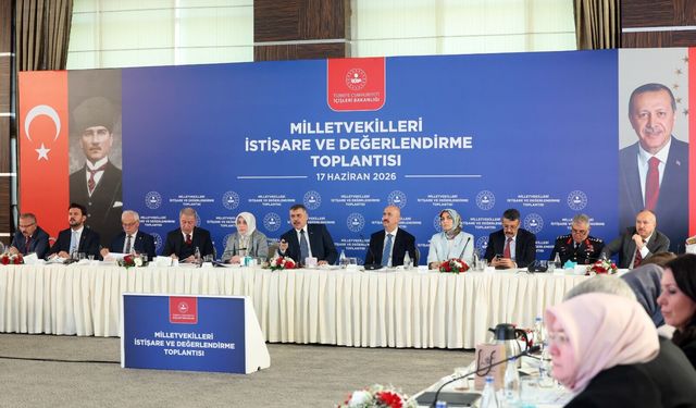 Sokak hayvanları düzenlemesinde son durum: Konya’da tamamı barınaklara alındı!