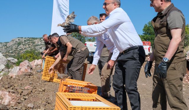 Nunu Vadisi’nde görsel şölen: Karaman’da doğal dengeyi koruyacak yüzlerce kınalı keklik doğaya bırakıldı!