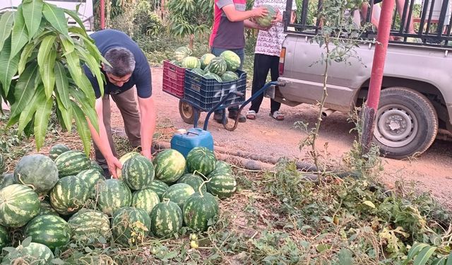 Antalya’dan toplanan tonlarca mahsul, Konya’daki yurtlara dağıtıldı