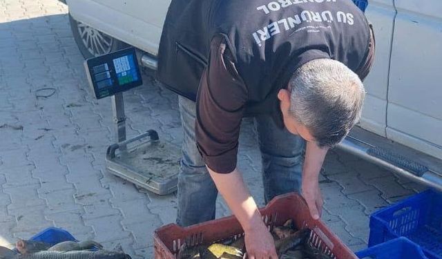 Beyşehir Gölü'nde yeni av sezonu cetvelli takiple başladı
