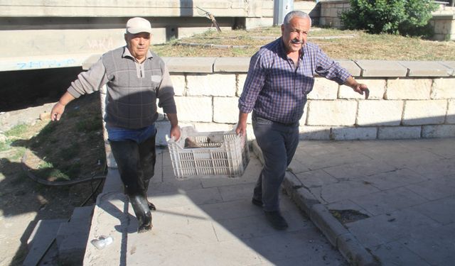 3 aylık hasret bitti! Beyşehir'de sezonun ilk balıkları tezgahlarda!