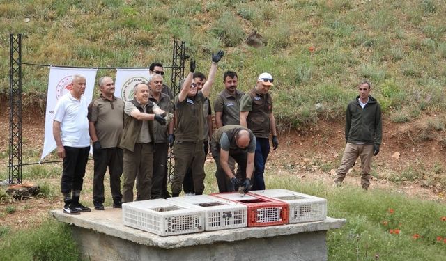 Konya’da doğal yaşama kanat çırptılar: 500 kınalı keklik doğa ile buluştu!