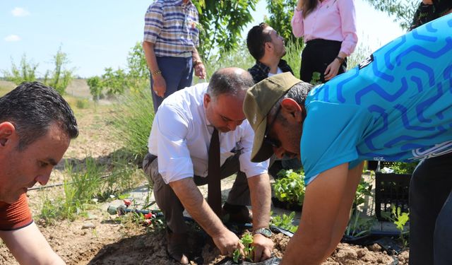 Konya'da yaşlılar hobi bahçesinde hayat buldu