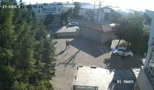 Sanayi sitesinde sıra dışı olay: Teldeki kuşlar büyük bir felaketi tetikliyordu