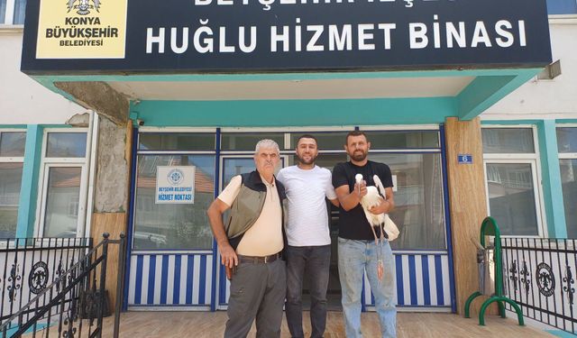 Yaralı leylek Konya'da cami kubbesinden kurtarıldı