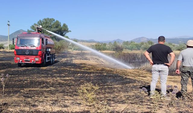 Seydişehir'de buğday tarlasında korkutan yangın! İtfaiyenin hızlı müdahalesi felaketi önledi