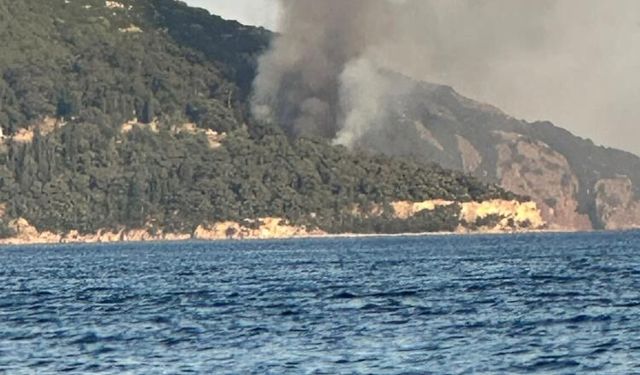 Büyükada’da korkutan dakikalar: Ünlü plajda çıkan yangın ekipleri harekete geçirdi