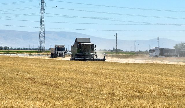Selçuklu'da yıllardır boş duran arazilerden ilk hasat geldi