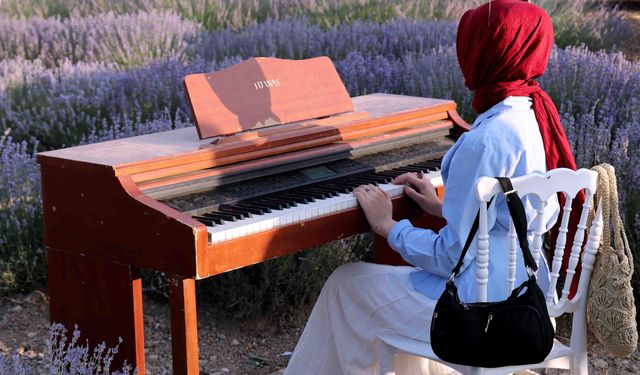 Mor tarlalarda unutulmaz üç gün: Ziyaretçi akınına uğrayan festivalde tarihi rekor kırıldı