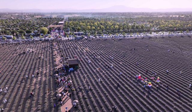 Konya’da hafta sonu mor şölen başlıyor!