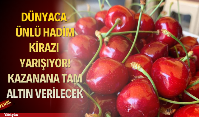 Dünyaca ünlü Hadim kirazı yarışıyor! Kazanana tam altın verilecek