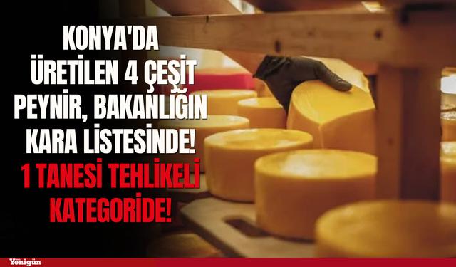 Konya'da üretilen 4 çeşit peynir, bakanlığın kara listesinde!