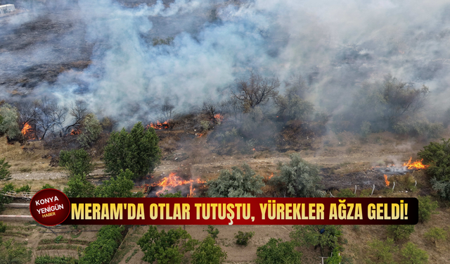 Meram'da otlar tutuştu, yürekler ağza geldi!