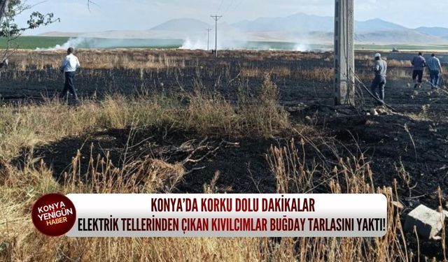 Konya’da korku dolu dakikalar: Elektrik tellerinden çıkan kıvılcımlar buğday tarlasını yaktı!