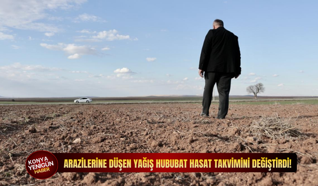 Konya’da arazilerine düşen yağış hububat hasat takvimini değiştirdi!