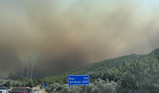 Muğla'daki yangın Antalya'ya sıçradı!