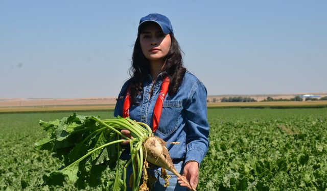 Babası ölünce traktörün başına geçti! Konya’da 600 dekarlık başarı