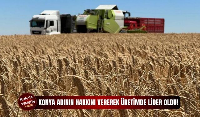 Konya adının hakkını vererek üretimde lider oldu!