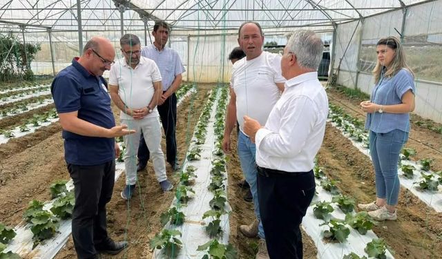 Akşehir’de seralar ve böğürtlen tesisleri yerinde incelendi!