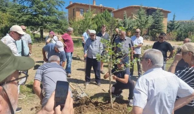 Emektar öğretmen Ahmet Candar’ın adı çınar ağacıyla yaşayacak!