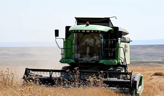 Kulu’da alternatif tarım hamlesi: Pelemir hasadı başladı