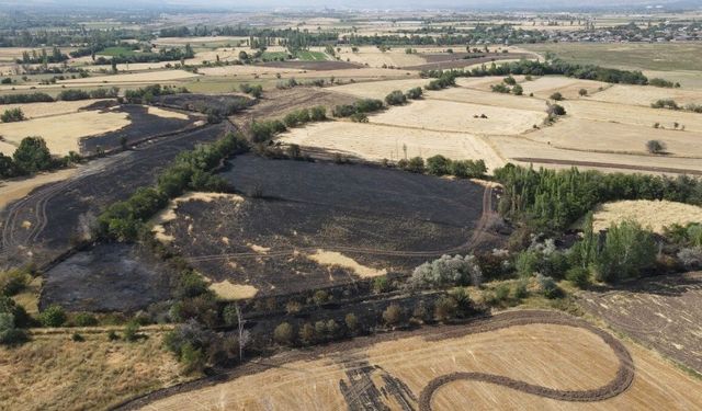 Türkiye'deki yangınlarda son durumu Bakan Yumaklı açıkladı