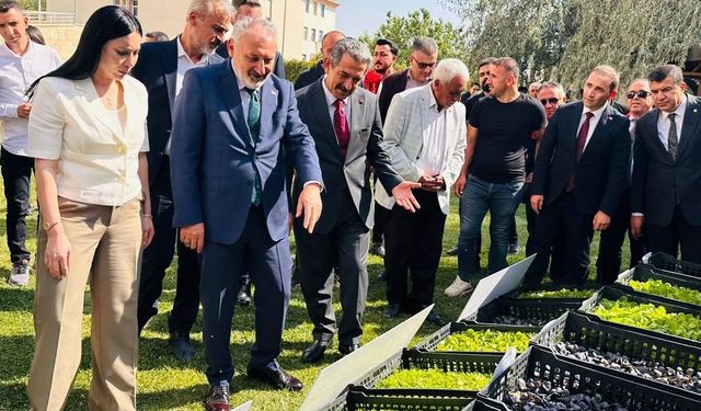 Üreticilere destek! Çoban çantası ve binlerce fide dağıtıldı…