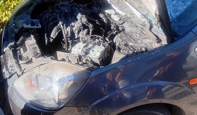 Park halindeki araç tanınmaz hale geldi! İşte aracın başına gelenler…